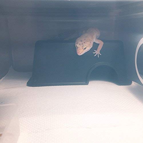 Reptile Hideout Box/ SM & MED