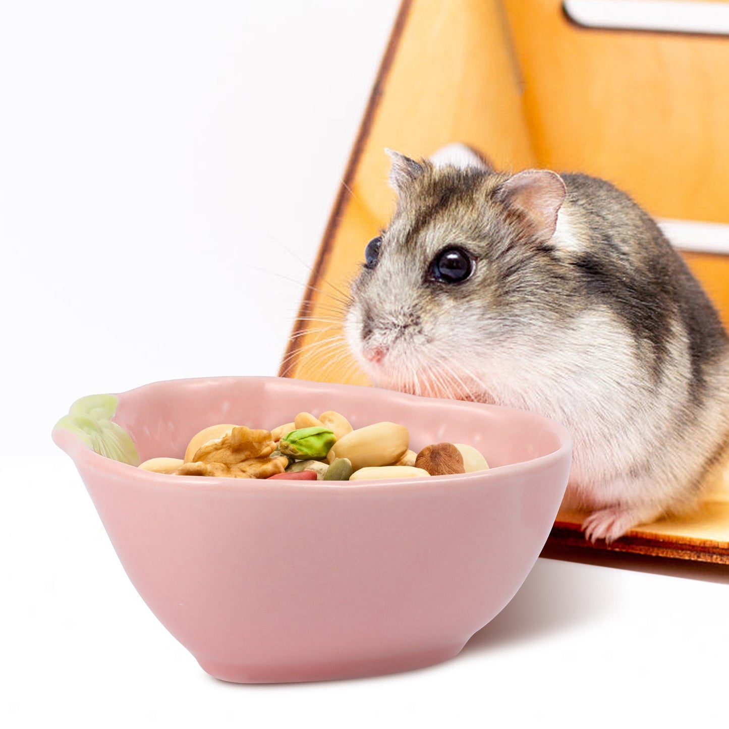 Ceramic Strawberry Feeding Dish